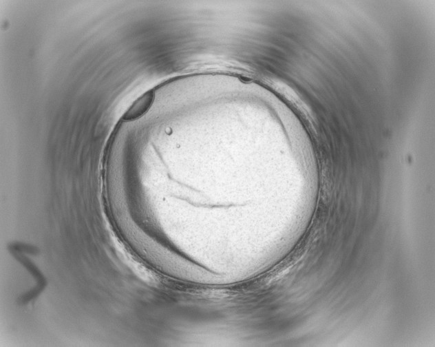 X0000087031431200705141911