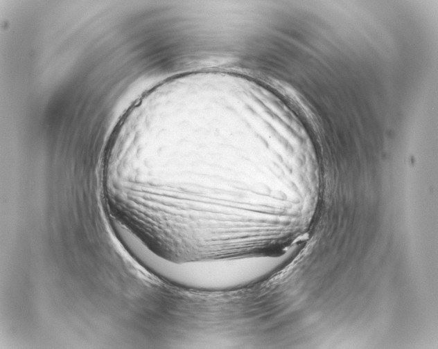 X0000087031432200705141911