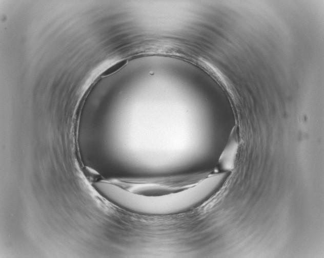 X0000087031434200705141911