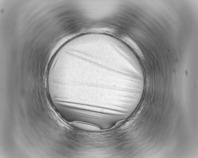 X0000087031436200705141911