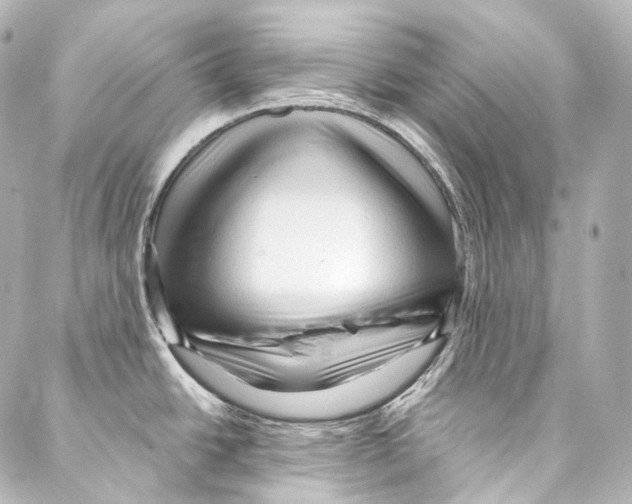 X0000087031438200705141911