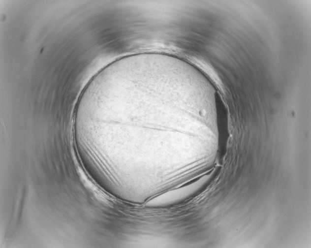 X0000087031439200705141911