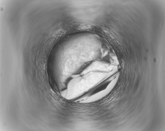 X0000087031441200705141910