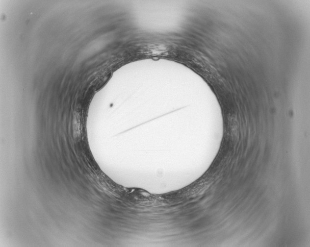 X0000087031442200705141910