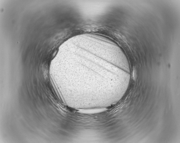 X0000087031444200705141910