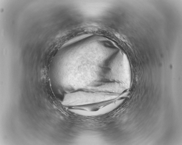 X0000087031445200705141910