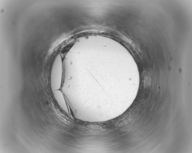 X0000087031448200705141910