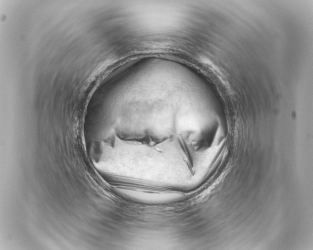 X0000087031449200705141910