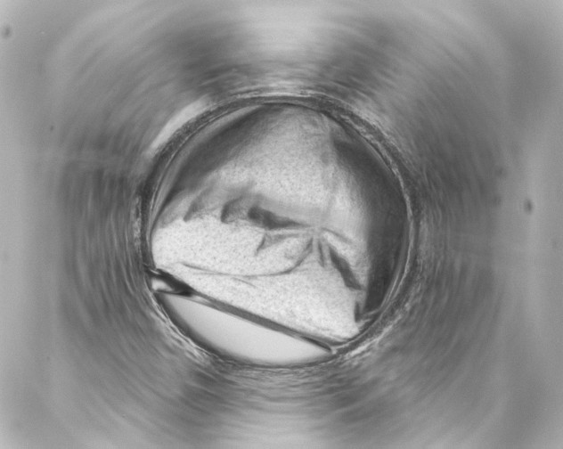 X0000087031450200705141910