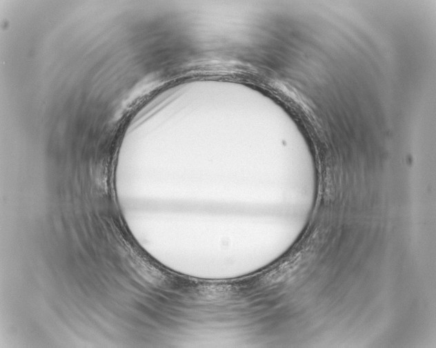 X0000087031451200705141910