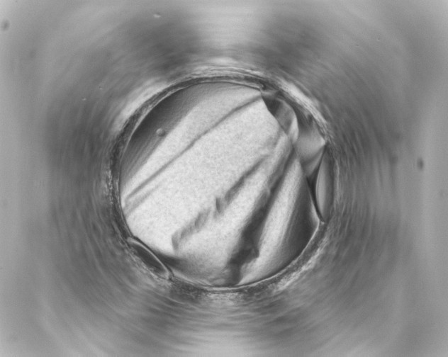 X0000087031453200705141910