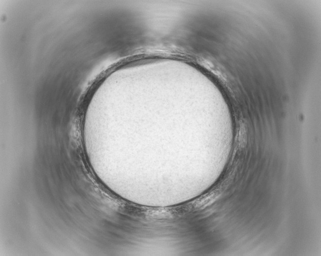 X0000087031454200705141910