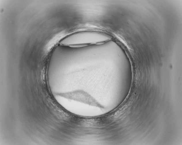 X0000087031455200705141910