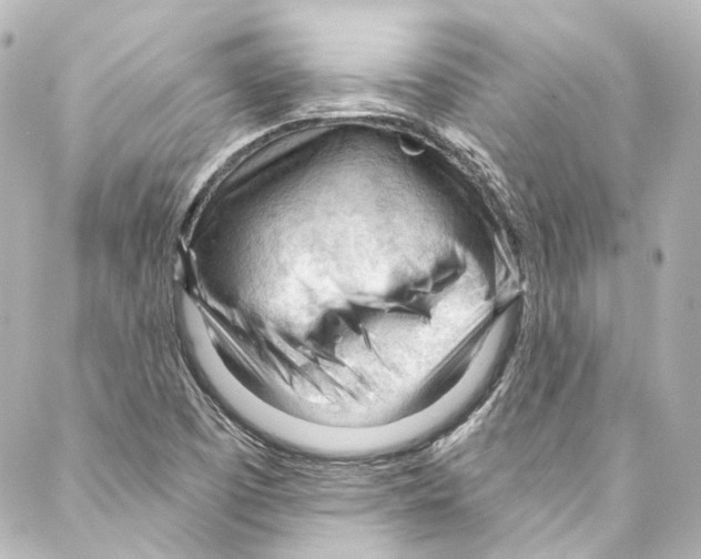 X0000087031457200705141910