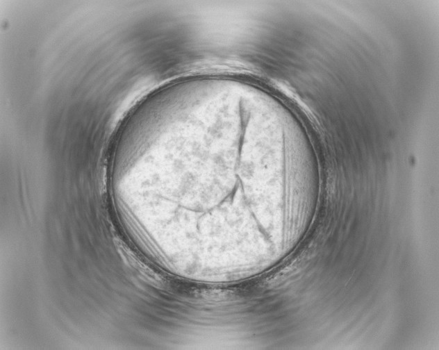 X0000087031459200705141910