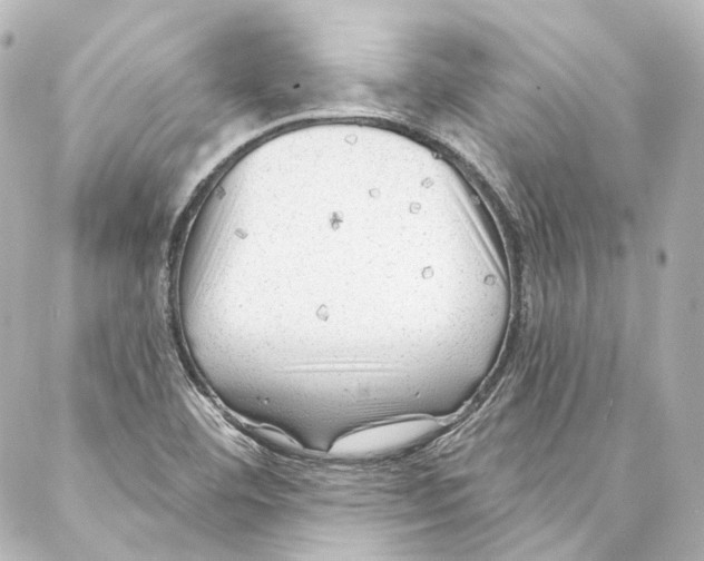 X0000087031460200705141910