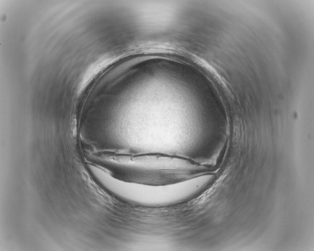 X0000087031461200705141910