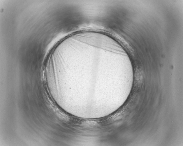 X0000087031462200705141910