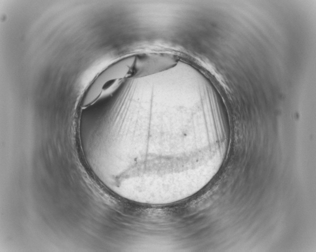 X0000087031463200705141910