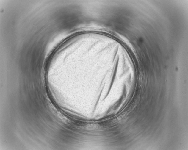 X0000087031464200705141910