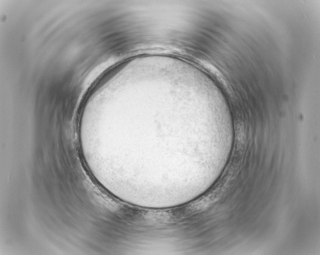 X0000087031466200705141910