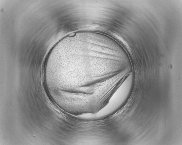 X0000087031467200705141910