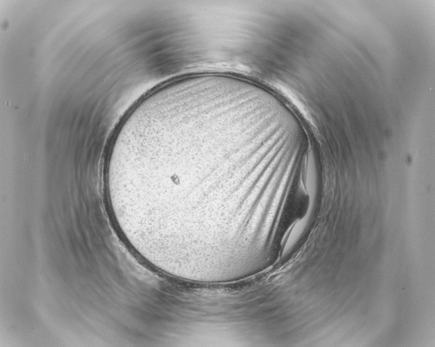 X0000087031468200705141910