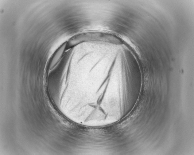 X0000087031469200705141910