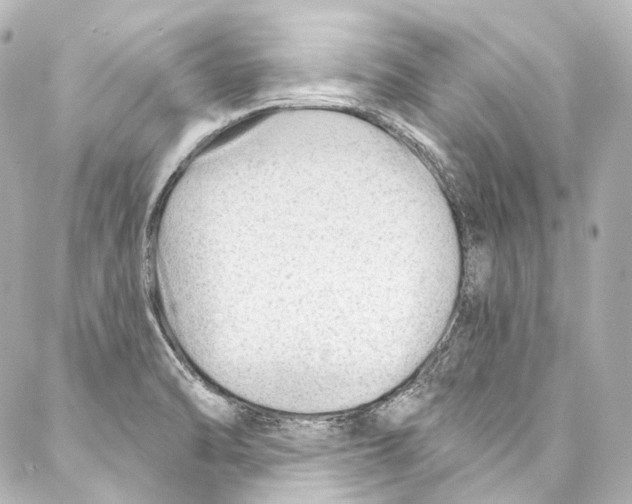 X0000087031470200705141910