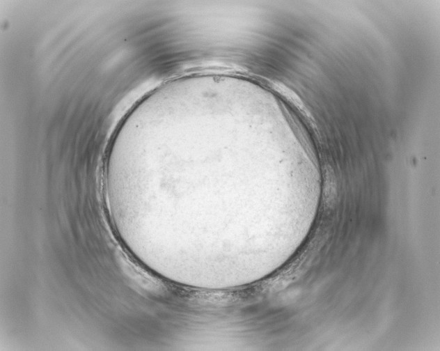 X0000087031474200705141910