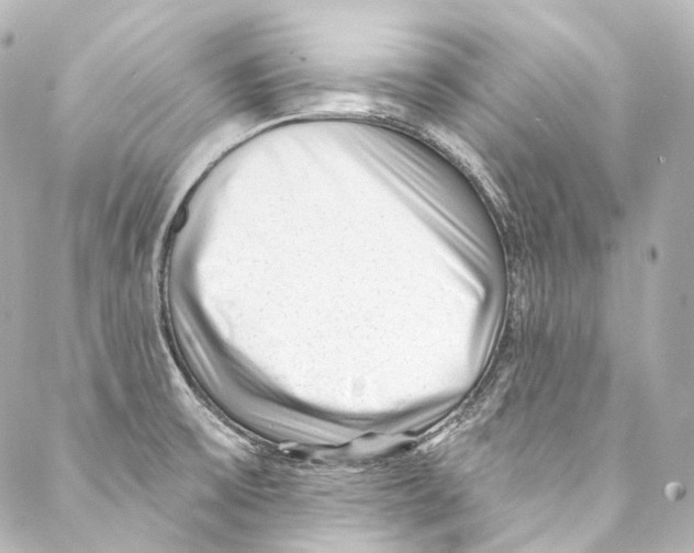 X0000087031475200705141910