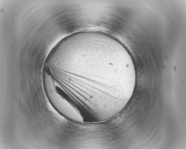 X0000087031476200705141910