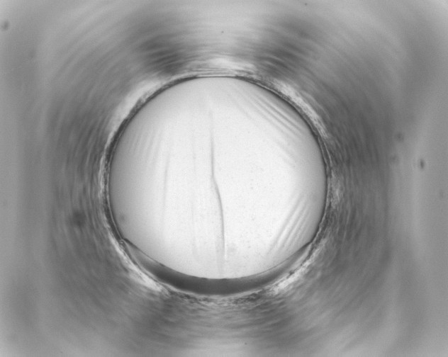 X0000087031477200705141909