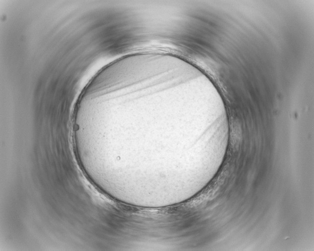 X0000087031478200705141909