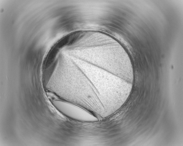 X0000087031480200705141909