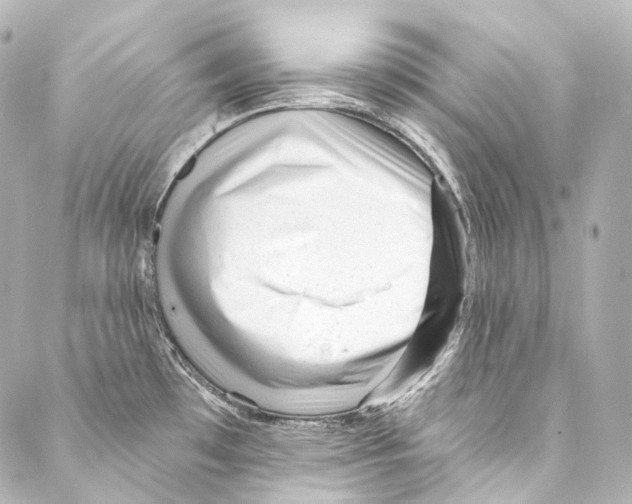 X0000087031481200705141909