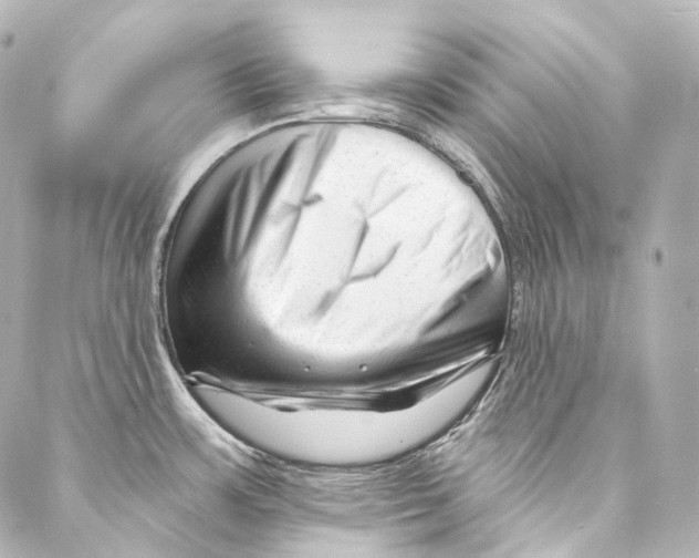 X0000087031483200705141909