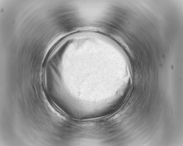 X0000087031484200705141909