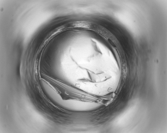 X0000087031487200705141909