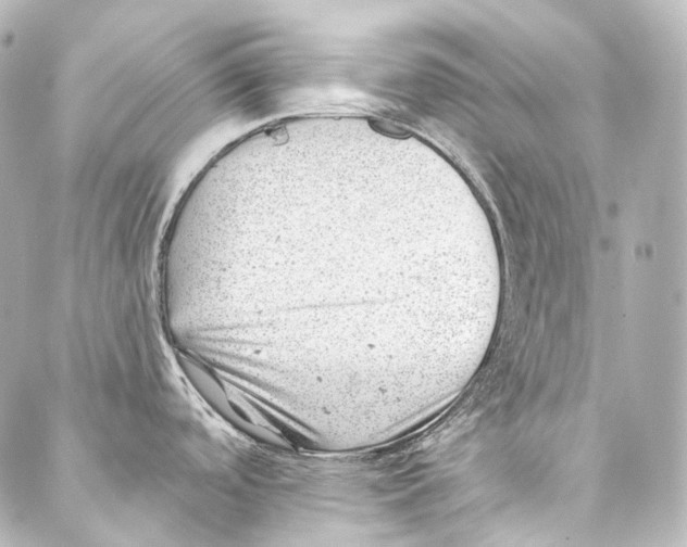 X0000087031488200705141909