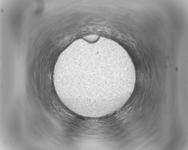 X0000087031489200705141909