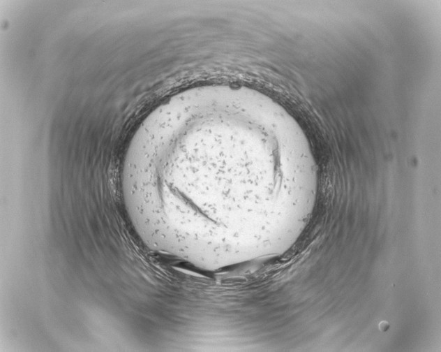 X0000087031490200705141909