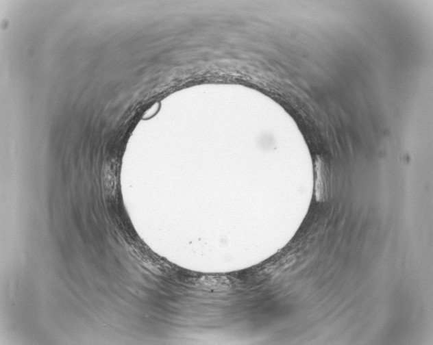 X0000087031491200705141909