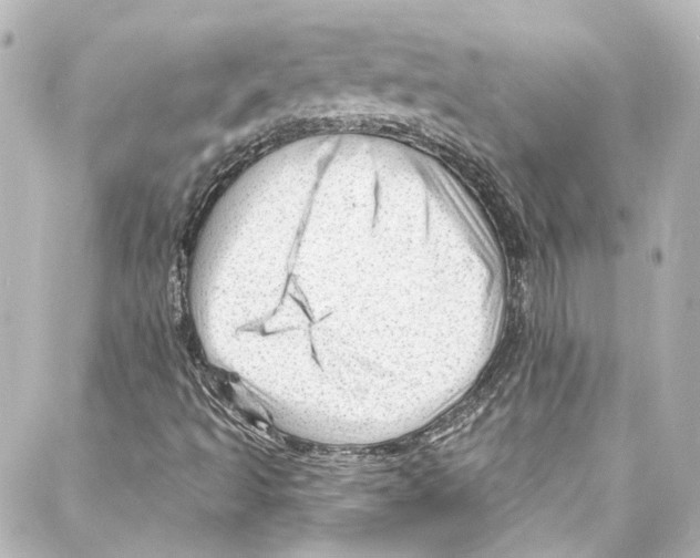 X0000087031493200705141909