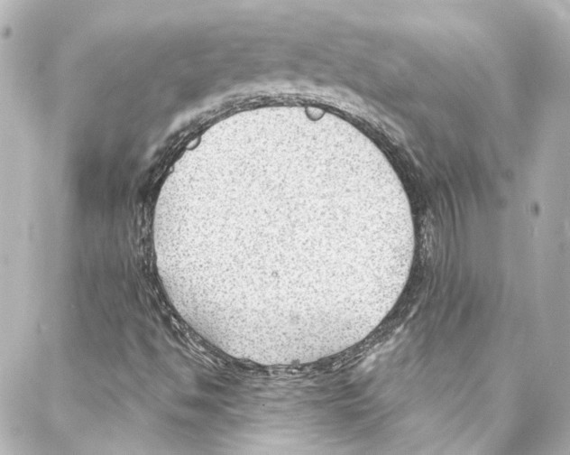 X0000087031494200705141909