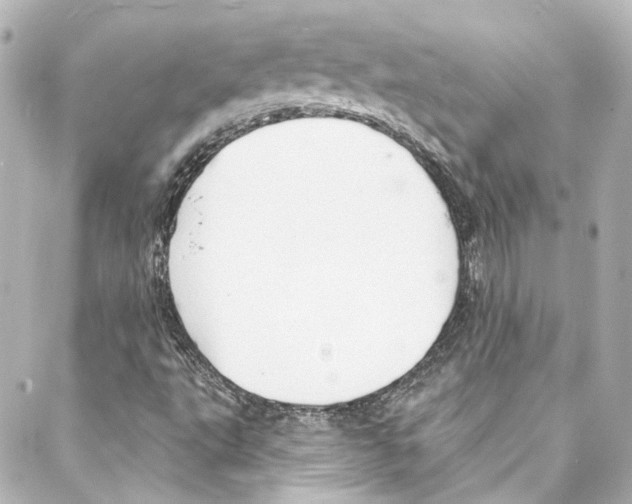 X0000087031495200705141909