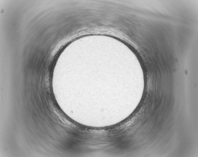 X0000087031498200705141909