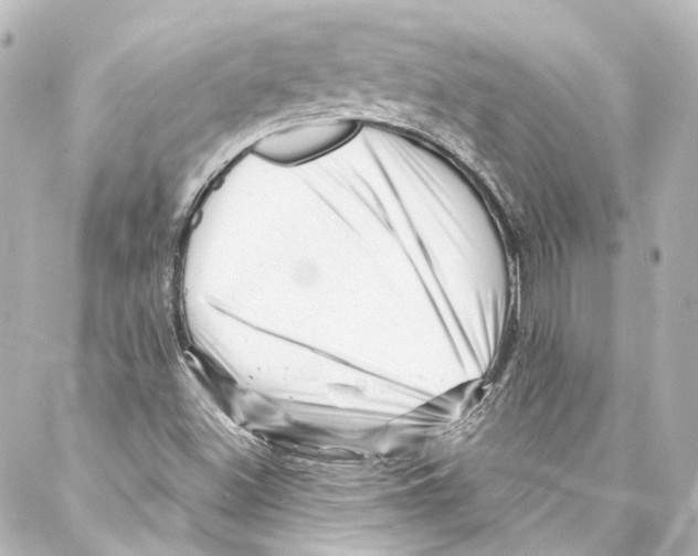 X0000087031500200705141909