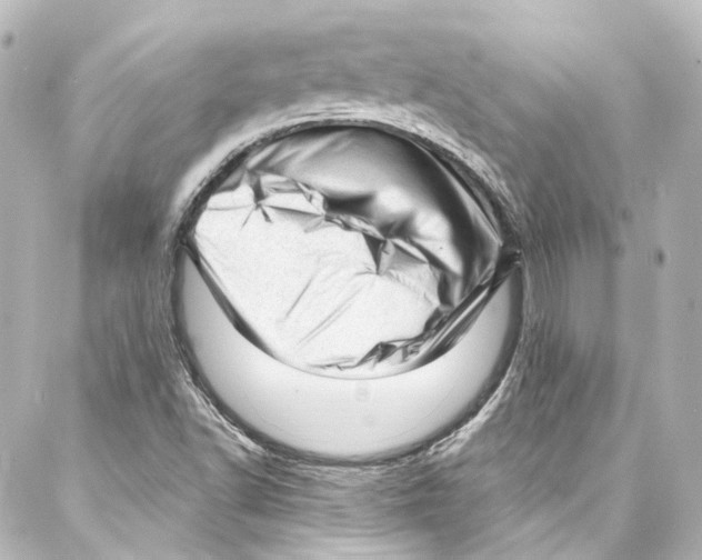 X0000087031502200705141909