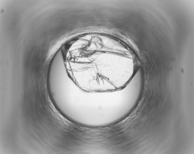 X0000087031504200705141909